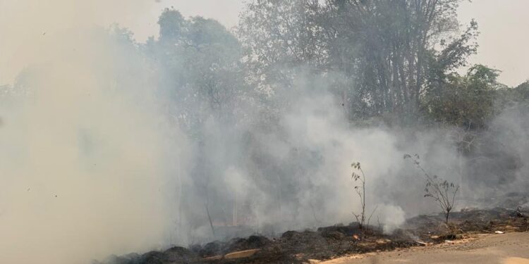 Incêndio em vegetação é registrado no Bairro Sion, em Arcos