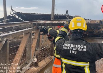 Bombeiros divulgam informações sobre resgate de animais após o desabamento de galpões em fazenda do Distrito de Ponte Vila