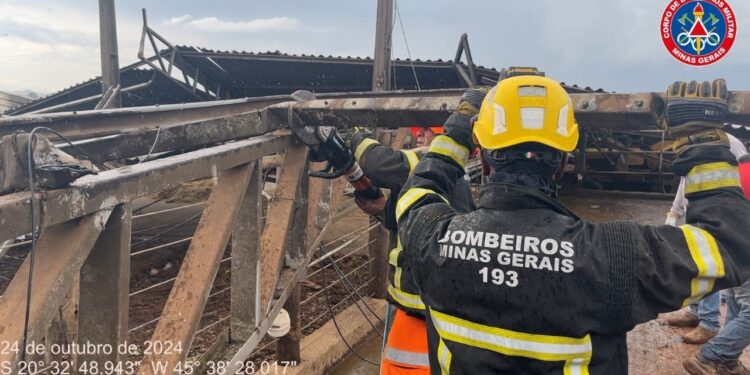 Bombeiros divulgam informações sobre resgate de animais após o desabamento de galpões em fazenda do Distrito de Ponte Vila