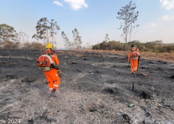 Incêndio atinge área rural de Formiga e consome cerca de 23 hectares