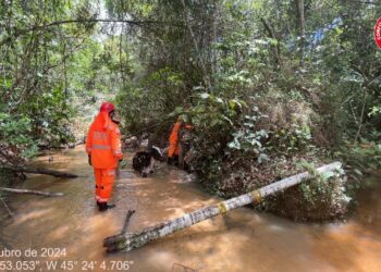 Bombeiros resgatam vaca atolada em córrego na zona rural de Formiga