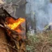 Piloto morre em queda de avião de combate a incêndios florestais em Ouro Preto