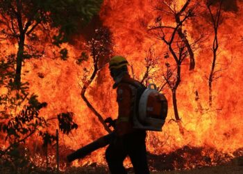 Brasil tem quase um território do Reino Unido consumido pelo fogo entre janeiro e setembro de 2024