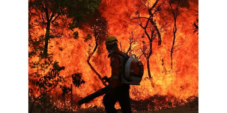 Brasil tem quase um território do Reino Unido consumido pelo fogo entre janeiro e setembro de 2024