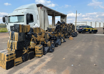 PRF e PM apreendem 14 toneladas de maconha em meio a carga de placas solares no Sul de Minas