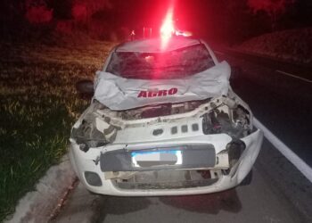 Colisão de veículo com animal de grande porte é registrada na MG 050