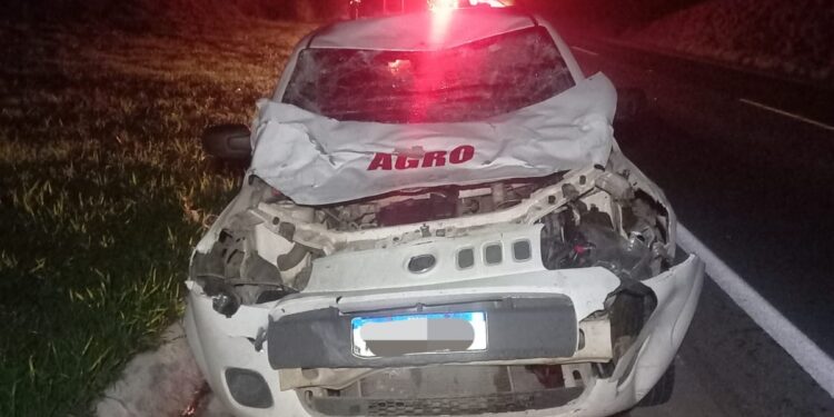 Colisão de veículo com animal de grande porte é registrada na MG 050