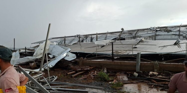 Vendaval causa estragos na área rural de Formiga e provoca a morte de animais após desabamento de estruturas