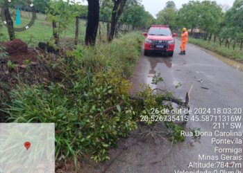 Corpo de Bombeiros remove àrvore caída em via do Distrito de Pontevila