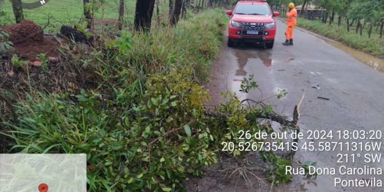 Corpo de Bombeiros remove àrvore caída em via do Distrito de Pontevila