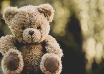 Influenciadora recebe ursinho de seguidor e descobre rastreador escondido