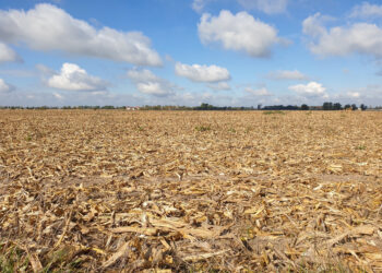 Saae avalia racionamento devido à seca prolongada