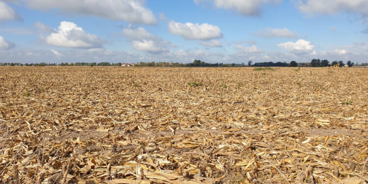 Saae avalia racionamento devido à seca prolongada