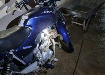 Jararaca enrolada em motocicleta é capturada no Residencial dos Lagos