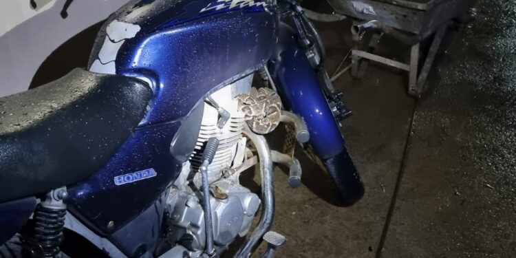 Jararaca enrolada em motocicleta é capturada no Residencial dos Lagos