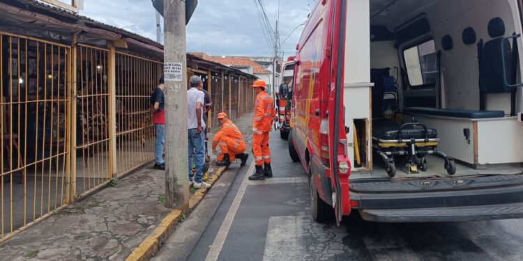 Bombeiros divulgam informações sobre acidente na região central de Formiga