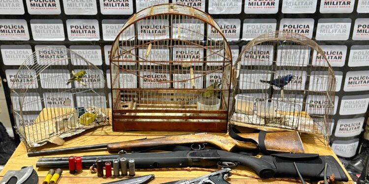 Polícia Militar apreende armas, munições e aves em propriedade  rural de Tapiraí