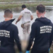 Pescador encontra corpo de homem boiando na Represa de Furnas, em Minas