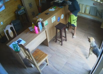 Menor é apreendido por furto de celular em estabelecimento comercial no Centro de Formiga