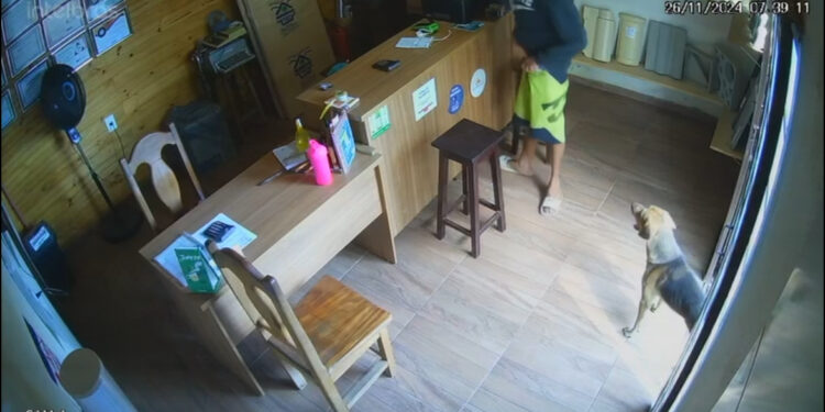 Menor é apreendido por furto de celular em estabelecimento comercial no Centro de Formiga