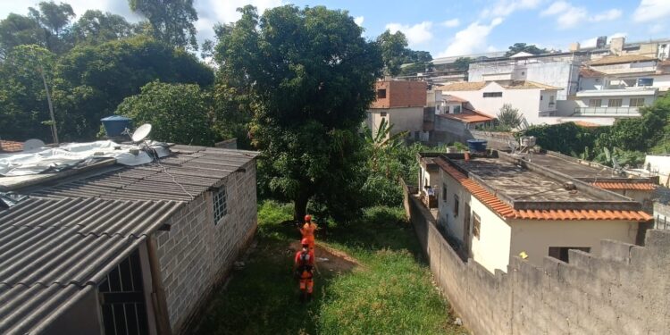 Bombeiros resgatam animais em situação de risco em Formiga