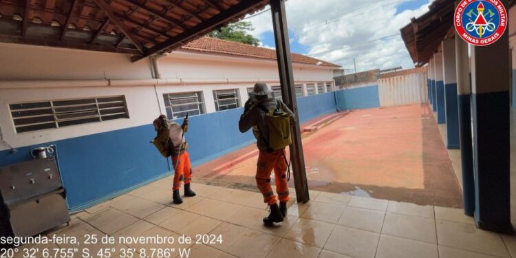 Formiga: Corpo de Bombeiros realiza duas operações para eliminar ninhos de marimbondos