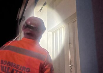 Corpo de Bombeiros de Formiga remove enxame de marimbondos na Escola Municipal Paulo Barbosa