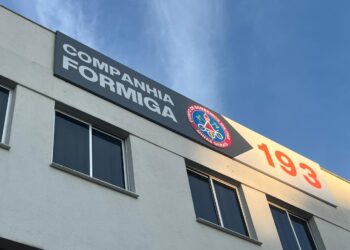 Formiga: jovem pede ajuda aos bombeiros após ficar com anel preso no dedo