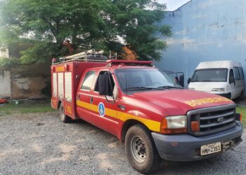 Campo Belo: bombeiros são acionados para resgate de gato, mas animal desce sozinho