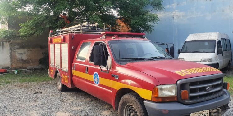 Campo Belo: bombeiros são acionados para resgate de gato, mas animal desce sozinho