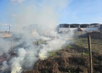 Formiga: incêndio em lote vago no bairro Residencial dos Lagos é controlado pelos bombeiros