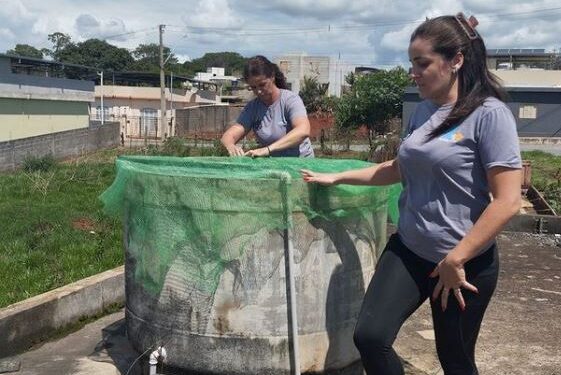 Córrego Fundo mobiliza comunidade e intensifica combate ao mosquito da dengue