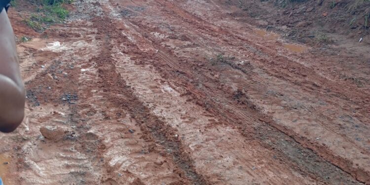 Fazenda Velha: SAAE realiza obras para melhorar abastecimento, mas comunidade enfrenta dificuldades com condição das estradas