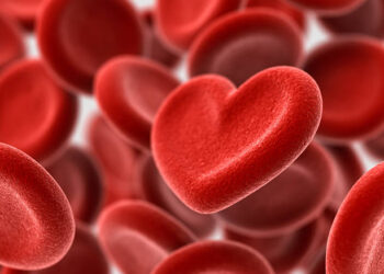 Doação de sangue: conheça os critérios para ser um doador