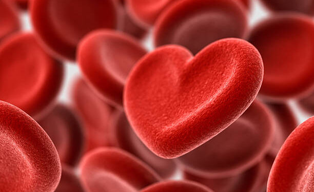 Doação de sangue: conheça os critérios para ser um doador