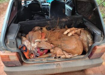 PM Ambiental apreende 120 kg de peixes nativos e multa trio em mais de R$ 42 mil por pesca irregular no período de piracema