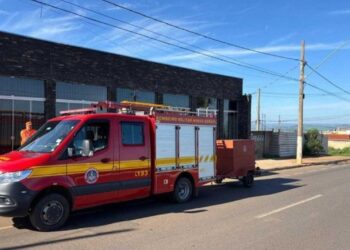 Pitbull solto deixa dois homens feridos em ponto de ônibus em Minas