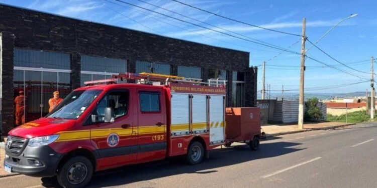 Pitbull solto deixa dois homens feridos em ponto de ônibus em Minas