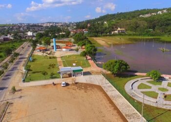 Bombeiros removem enxame de marimbondos da Praia Popular