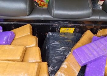 Homem é preso com 172 barras de maconha durante Operação Lei no Sul de Minas