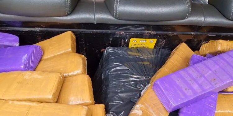 Homem é preso com 172 barras de maconha durante Operação Lei no Sul de Minas
