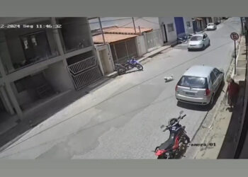 Cão morre após ser atropelado na rua São Paulo; veja as imagens