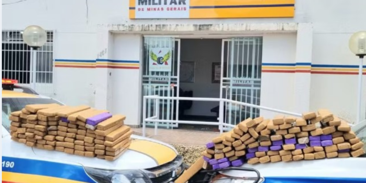 Homem é preso com 172 barras de maconha durante Operação Lei Seca no Sul de Minas