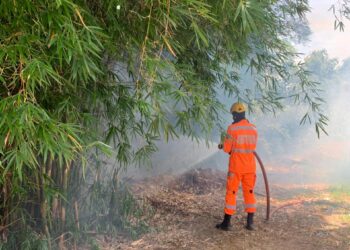 Arcos: incêndio em bambuzal é controlado pelo Corpo de Bombeiros
