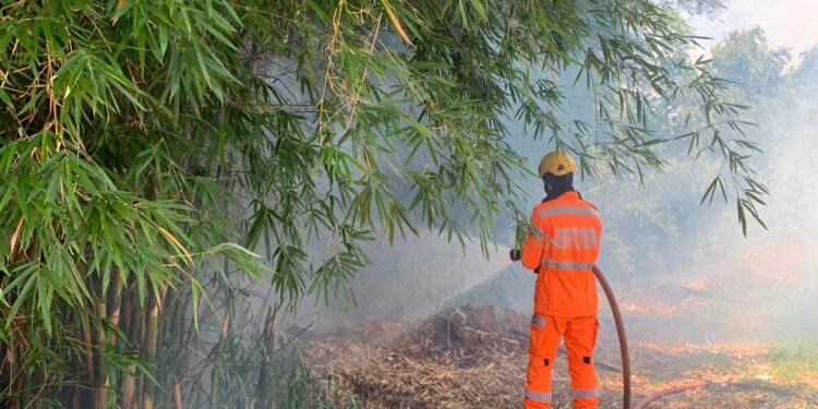 Arcos: incêndio em bambuzal é controlado pelo Corpo de Bombeiros