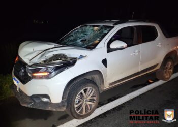 Atropelamento é registrado na MG-050 em Pimenta