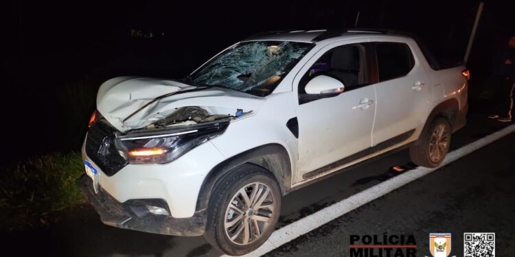 Atropelamento é registrado na MG-050 em Pimenta