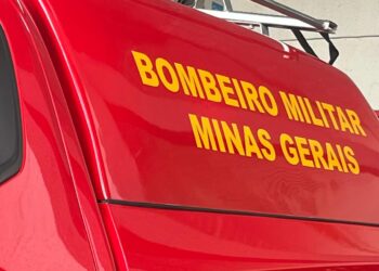 Formiga: queda de árvore causa danos em imóvel no bairro Novo Horizonte