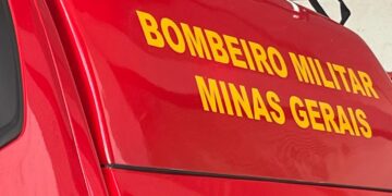 Formiga: queda de árvore causa danos em imóvel no bairro Novo Horizonte