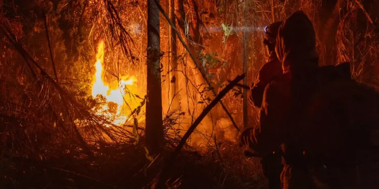Área queimada no Brasil até novembro quase dobra em relação a 2023